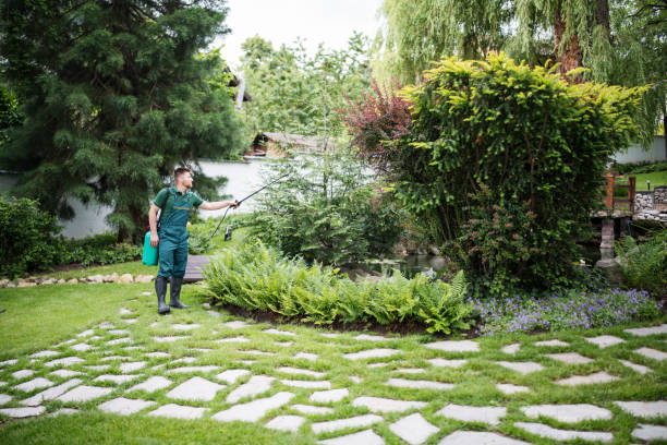 Best Wasp Removal Services  in West Peoria, IL