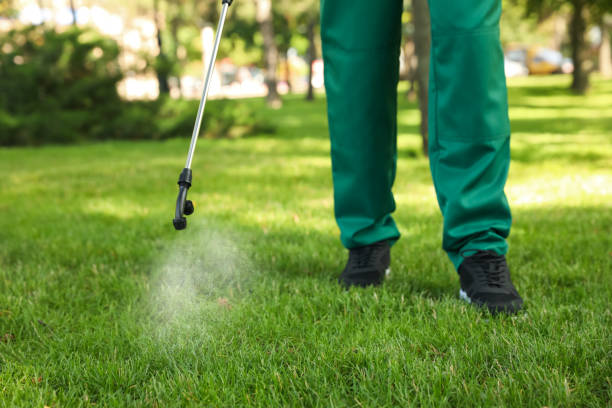 Best Residential Pest Control  in West Peoria, IL