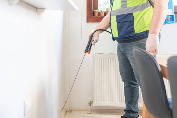 Best Flea Control Services  in West Peoria, IL
