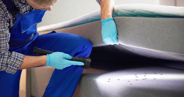 Best Exterminator Services  in West Peoria, IL