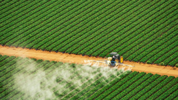 Reliable West Peoria, IL Pest Control Solutions