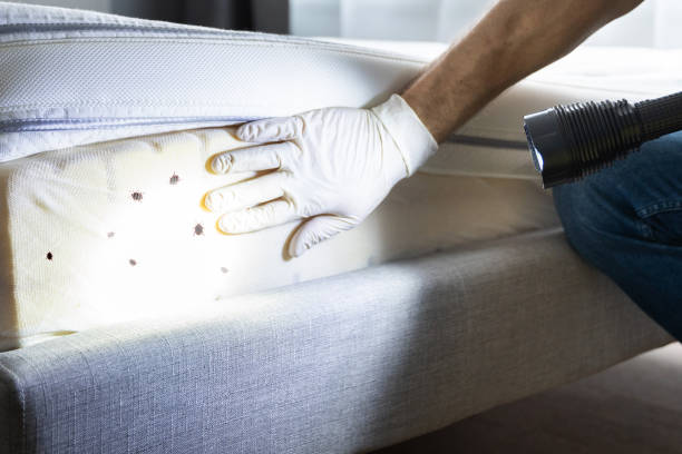 Best Pest Control Near Me  in West Peoria, IL