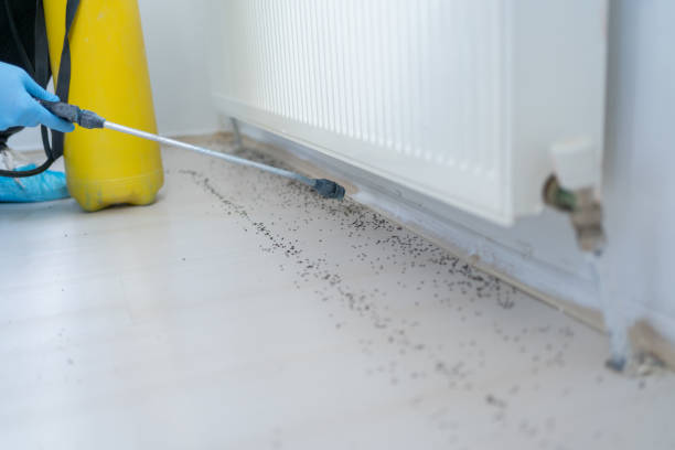 Best Mosquito Control Services  in West Peoria, IL