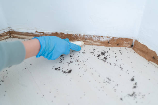 Best Pest Prevention Services  in West Peoria, IL