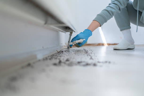 Best Local Pest Control Services  in West Peoria, IL
