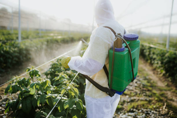 Best Pest Removal Services  in West Peoria, IL